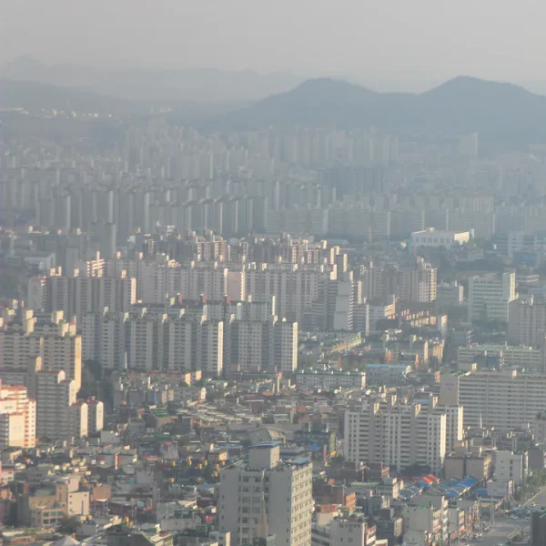 포레스트 민지하우스 마사지 제휴업체 이미지