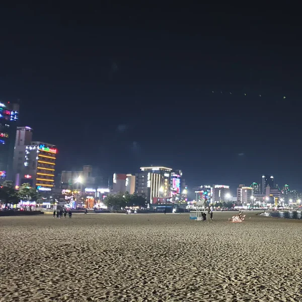 스테이 리브포레스트 테라피 안내 이미지
